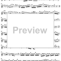 Sonata No. 9 in E Minor - Flute