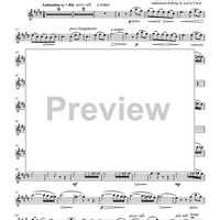 Song of India - Chanson Indoue, from the Opera Sadko