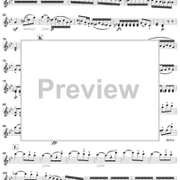 Violin Duets, Op. 71 - Violin 1
