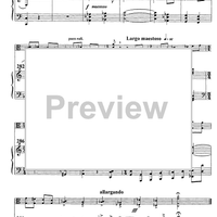 Variation on Béla Bartók theme - Score