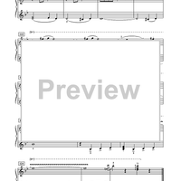 The Stars and Stripes Forever