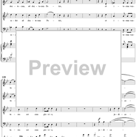 Mass No. 9 (Sancti Bernardi) in B-flat Major, "Heiligmesse": No. 3. Credo