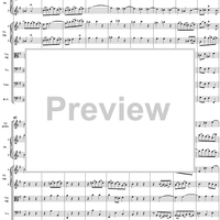 Brandenburg Concerto No. 4: Andante - Score