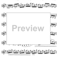 Capriccio No.14 e minor