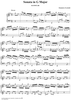 Sonata in G Major, K. 13