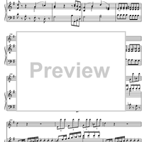 Concerto No. 1 G Major KV313 - Score