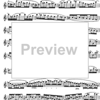 The Accomplished Clarinettist Vol. 2 - Clarinet