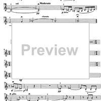 Godalni Quartet - Violin 2