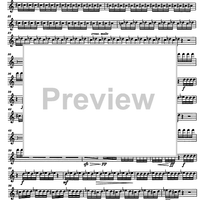 Divertimento Op.69 - Flute