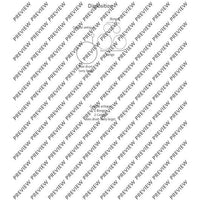 Sen VI - Performing Score