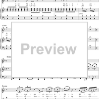 Aria: Contro un cor, No. 13 from "Il Barbiere di Siviglia"