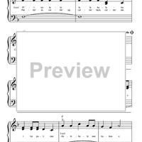 Hawaiian Roller Coaster Ride