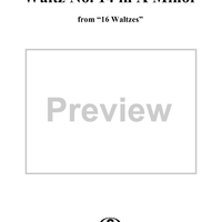 Waltz No. 14 in A Minor