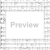 The Andalusian Merchant