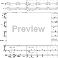 Symphony No. 3 in D Minor, "Wagner", WAB103 Movement 1 - Full Score