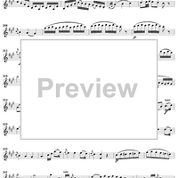 Violin Concerto No. 5 - Solo Violin