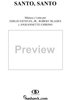 Santo, Santo