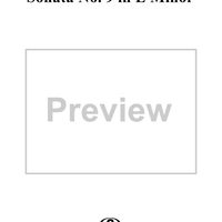 Sonata No. 9 in E Minor - Flute