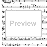 Contrabbasso concertante - Double Bass