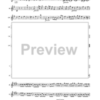 Double Concerto for Recorder and Flute in E minor - Violin 1