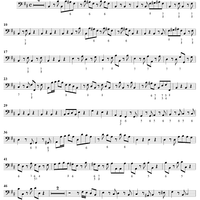 Concerto in B Minor, Op. 3, No. 10, RV580 from "L'estro Armonico" - Bass
