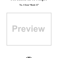 Serenata No. 1 in A Major - Violin 1