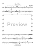 Quadritium - Flute