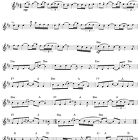 Bungle in the Jungle