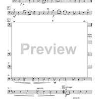 Trios for Double Bass - Volume 1 - Bass 3