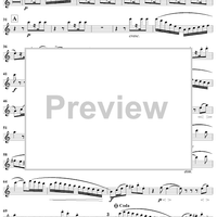 Wind Quintet in C Major, Op. 79 - Flute