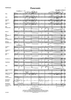 Panoramic - Score