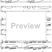 Concert Fantasy. Part 2. Contrastes