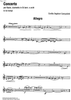 Concerto - Flute