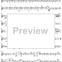 Quintet in C Minor - Flute