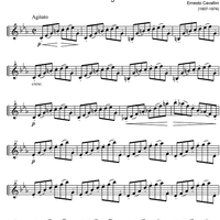 Capriccio No. 3 c minor