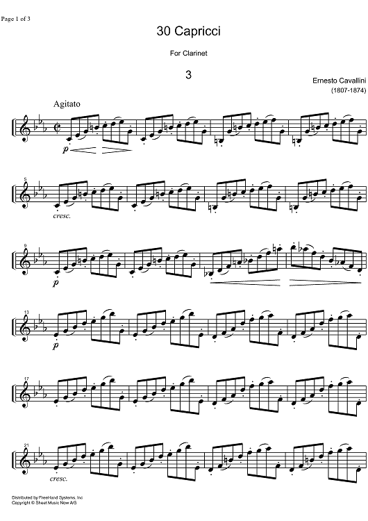 Capriccio No. 3 c minor