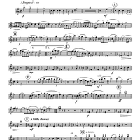 Turkey in the Straw - Oboe