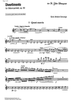 Divertimento Op.69 - Flute