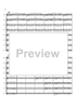 The Global Village Samba - Score