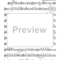 Largo from the Opera Xerxes