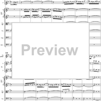 Brandenburg Concerto No. 4: Allegro - Score