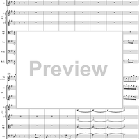 Brandenburg Concerto No. 4: Allegro - Score