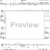 Winterreise (Song Cycle), Op.89, No. 12 - Einsamkeit, D911