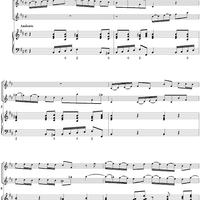 Trio Sonata in B minor, Op. 1/11 RV79