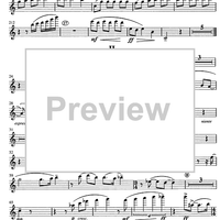 Concertino giocoso Op. 12 - Flute 1