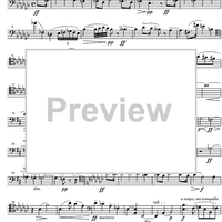 At the bier of a young Artist - Cello