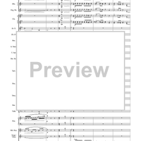 Harry Potter Symphonic Suite - Score