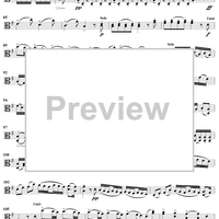 Viola d'Amore Concerto in G Major - Viola