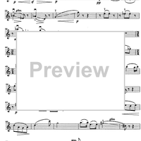 Godalni Quartet - Violin 1