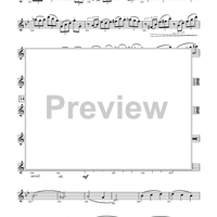 Harry Potter Symphonic Suite - Flute 1